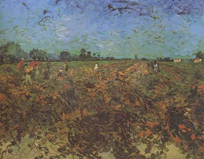 Vincent Van Gogh The Green Vineyard (nn04) China oil painting art